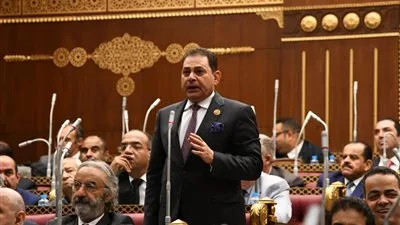 النائب فرج فتحي: ثورة 30 يونيو تمثل مشاركة شعبية واعية لحماية هوية مصر. النائب فرج فتحي: ثورة 30 يونيو تمثل مشاركة شعبية واعية لحماية هوية مصر.