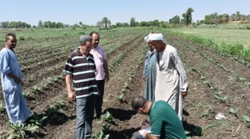 الزراعة: تجاوز أي عقبات تعرقل تنفيذ برنامج الأنشطة الإرشادية في المحافظات