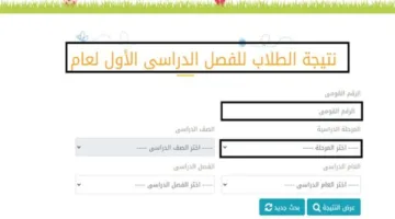 موعد إعلان نتائج الصف الرابع الابتدائي 2025 في القاهرة.. تعرف عليها من موقع مديرية التربية والتعليم