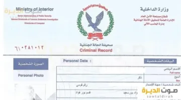إذا كنت ترغب في حذف الأحكام الجنائية من سجلات الأمن العام.. المحكمة الإدارية العليا توضح التفاصيل