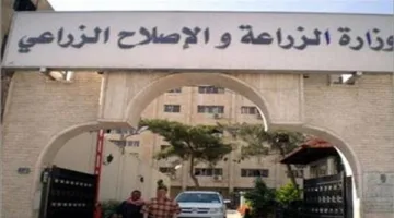 “الزراعة” تدعم فعالية الأطباء البيطريين من خلال ممارسات علاجية مستدامة