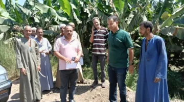 وزارة الزراعة تتابع الفعاليات البحثية والإرشادية في قرى الأقصر