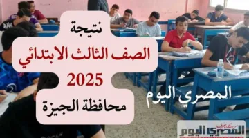 خلال ساعات.. معرفة نتيجة الصف الثالث الابتدائي بمحافظة الجيزة للفصل الدراسي الثاني 2025 (الرابط وطريقة الاستعلام)