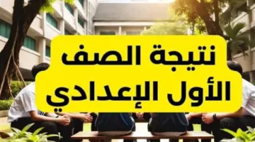 تحقق الآن من نتيجة الصف الأول الإعدادي 2025 في القاهرة من خلال بوابة التعليم الأساسي