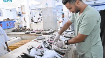 مسالخ جازان تستقبل أكثر من 23,300 أضحية خلال فترة عيد الأضحى