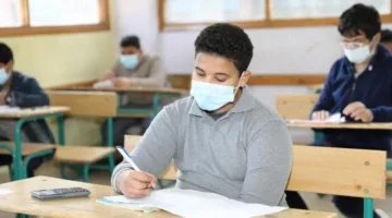 من الصف الثالث الابتدائي حتى الثاني الإعدادي: رابط نتائج النقل متاح الآن