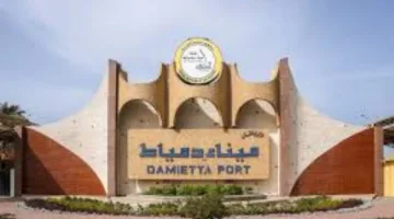 استقبال 21 سفينة حاويات وبضائع في ميناء دمياط