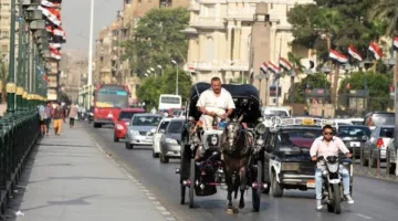 توقعات الطقس في مصر يوم الأربعاء 11 يونيو 2025