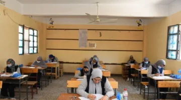 نماذج توجيهية لطلاب الثانوية العامة 2025.. أسئلة وإجابات محورية للاختبار