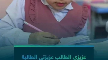 قبل الامتحانات.. تعليم الطائف تشدد على أهمية التركيز والمراجعة المنتظمة للطلاب والطالبات