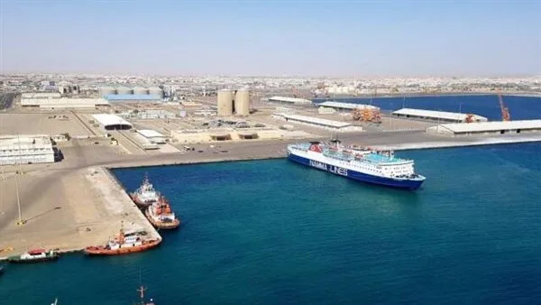 ما تفسير تخصيص قطعة أرض في البحر الأحمر لصالح وزارة المالية؟ ما تفسير تخصيص قطعة أرض في البحر الأحمر لصالح وزارة المالية؟