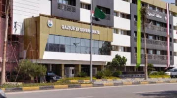 إتاحة 249 وظيفة في ثلاث شركات خاصة بمحافظة القليوبية