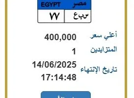 سعرها بلغ 400 ألف جنيه.. إدارة المرور تعرض لوحة سيارة فريدة للمزايدة