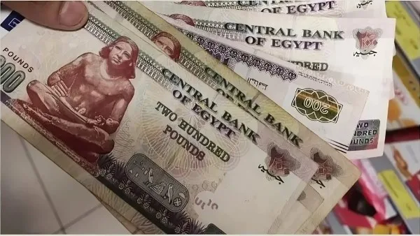 طريقة معرفة زيادات المعاشات الجديدة لعام 2025.. خطوة بخطوة طريقة معرفة زيادات المعاشات الجديدة لعام 2025.. خطوة بخطوة