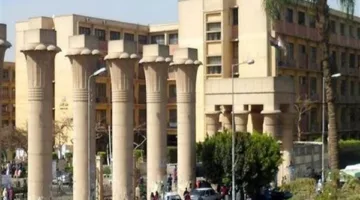 كلية الآثار بجامعة عين شمس تعلن عن نتائج امتحانات البكالوريوس للسنة الدراسية 2024-2025 لكافة البرامج.