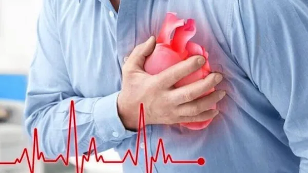 بعد دخوله الأسواق.. كيف يؤثر البطيخ الأصفر على جسمك عند تناوله؟ بعد دخوله الأسواق.. كيف يؤثر البطيخ الأصفر على جسمك عند تناوله؟