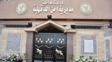 سائق توك توك يقتل زميله في المطرية بالدقهلية