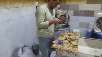 حملات تفتيشية لضمان جودة الخبز المدعوم في المحلة الكبرى تسفر عن تحرير 12 محضرًا