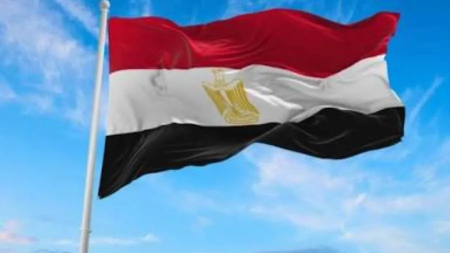 سياسيون: مصر تساند فلسطين بقوة ولن نسمح بتجاوز السيادة تحت أي مبرر سياسيون: مصر تساند فلسطين بقوة ولن نسمح بتجاوز السيادة تحت أي مبرر