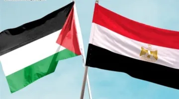 القضية واحدة.. مصر تقدم ألفي طن من المساعدات الغذائية والطبية إلى غزة (إحصائيات)