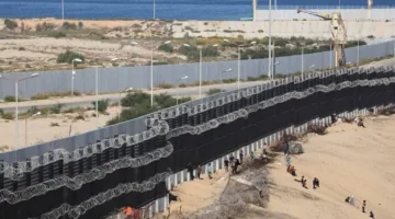 أعضاء مجلس الشيوخ: مصر متمسكة بأمنها القومي والدعم لفلسطين متواصل