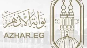 أسماء الطلاب الأوائل في الشهادة الابتدائية الأزهرية لعام 2025 من ذوي الإعاقة البصرية في المنيا