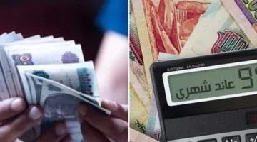 بعد قرار البنك الأهلي.. قائمة شاملة بأفضل شهادات الادخار المتاحة حالياً (أعلى فوائد سنوية وشهرية)