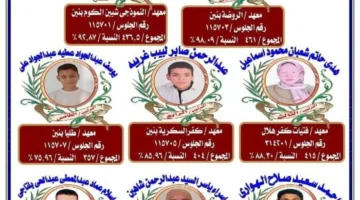 أسماء المتميزين في الشهادة الأزهرية للمرحلتين الإعدادية والابتدائية بمحافظة المنوفية.. صور