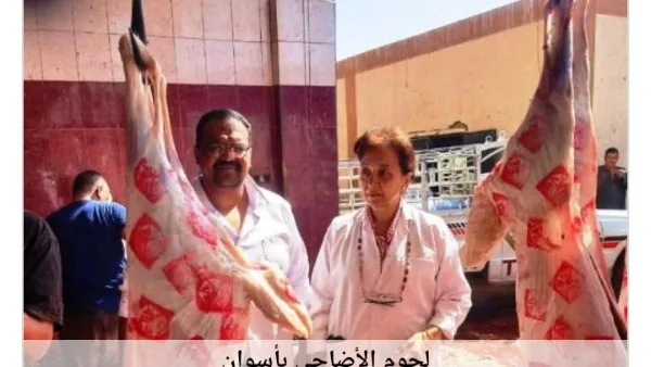 أسوان خلال 24 ساعة: القضاء على عناصر إجرامية وتنفيذ حملات موسعة لإزالة التعديات أسوان خلال 24 ساعة: القضاء على عناصر إجرامية وتنفيذ حملات موسعة لإزالة التعديات