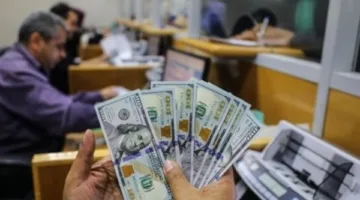 استقرار نسبي.. سعر الدولار في مصر اليوم الخميس 12 يونيو 2025