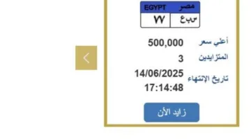 وصل سعرها إلى نصف مليون.. الطلب يتزايد على لوحة سيارة فريدة.