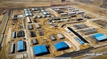 أضخم مشروع شامل.. تأثير دلتا الجديدة على الأمن الغذائي والاقتصاد المصري المنتظر