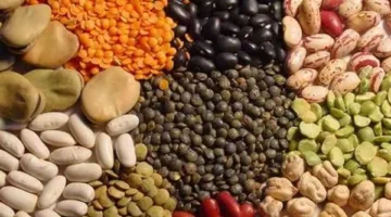 أسعار البهارات والبقوليات في أسواق بورسعيد اليوم الخميس