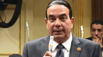 نائب برلماني: مصر لديها دور أساسي في الحفاظ على الأمن القومي ومساندة الشعب الفلسطيني