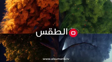 أشعة الصيف تتزايد.. منخفض جوي حار يسيطر على العراق لعدة أيام متواصلة