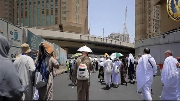 انطلاق نقل حجاج القرعة من مكة المكرمة إلى المدينة المنورة انطلاق نقل حجاج القرعة من مكة المكرمة إلى المدينة المنورة
