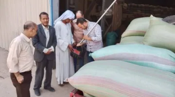 تجاوزت الكمية مليون طن.. مواصلة عمليات تسليم القمح في شون وصوامع المنيا