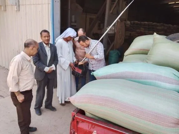 تجاوزت الكمية مليون طن.. مواصلة عمليات تسليم القمح في شون وصوامع المنيا تجاوزت الكمية مليون طن.. مواصلة عمليات تسليم القمح في شون وصوامع المنيا