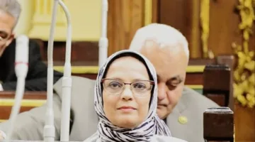نجلى العسيلي: مصر لن تترك مجالاً للمزايدة حول دورها في دعم غزة