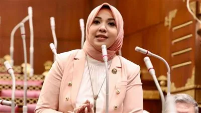 النائبة دينا هلالي: بيان وزارة الخارجية كان واضحًا ويؤكد الالتزام بأساسيات الأمن القومي. النائبة دينا هلالي: بيان وزارة الخارجية كان واضحًا ويؤكد الالتزام بأساسيات الأمن القومي.