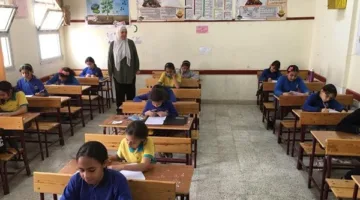 نتيجة الفصل الدراسي الثاني للصف الأول الإعدادي في الجيزة 2025.. اطّلع عليها الآن.