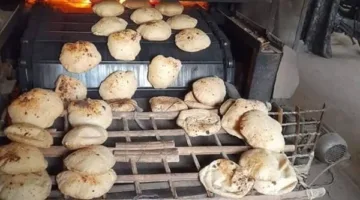 إصدار 273 محضر مخالفة في المخابز والأسواق خلال حملات متنوعة.. التفاصيل هنا