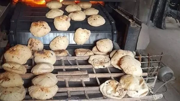 إصدار 273 محضر مخالفة في المخابز والأسواق خلال حملات متنوعة.. التفاصيل هنا