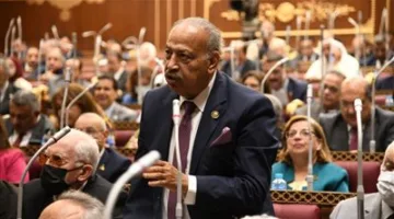 النائب هاني العسال: بيان وزارة الخارجية يعكس مبدأ الدولة في حماية أمنها القومي وصون حقوق الشعب الفلسطيني.