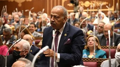 النائب هاني العسال: بيان وزارة الخارجية يعكس مبدأ الدولة في حماية أمنها القومي وصون حقوق الشعب الفلسطيني. النائب هاني العسال: بيان وزارة الخارجية يعكس مبدأ الدولة في حماية أمنها القومي وصون حقوق الشعب الفلسطيني.