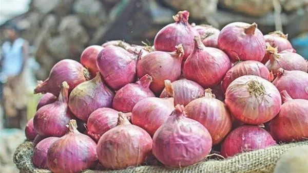 زيادة صادرات البصل المصري إلى 1000 طن يوميًا.. ونقيب الفلاحين يطمئن المواطنين زيادة صادرات البصل المصري إلى 1000 طن يوميًا.. ونقيب الفلاحين يطمئن المواطنين