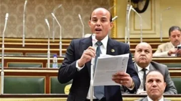 النائب عمرو القطامي: موقف مصر تجاه القضية الفلسطينية راسخ ولا يحتمل التفاوض