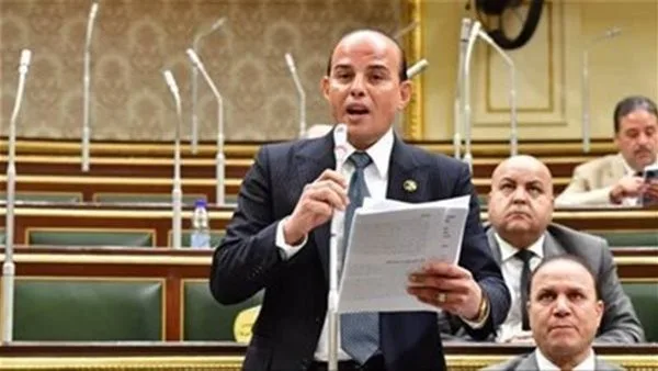 النائب عمرو القطامي: موقف مصر تجاه القضية الفلسطينية راسخ ولا يحتمل التفاوض النائب عمرو القطامي: موقف مصر تجاه القضية الفلسطينية راسخ ولا يحتمل التفاوض