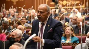 نائب برلماني: بيان وزارة الخارجية يعكس موقف الدولة في حماية أمنها الوطني