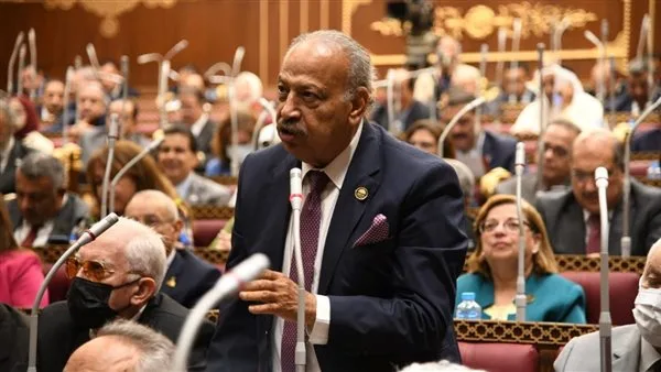 نائب برلماني: بيان وزارة الخارجية يعكس موقف الدولة في حماية أمنها الوطني